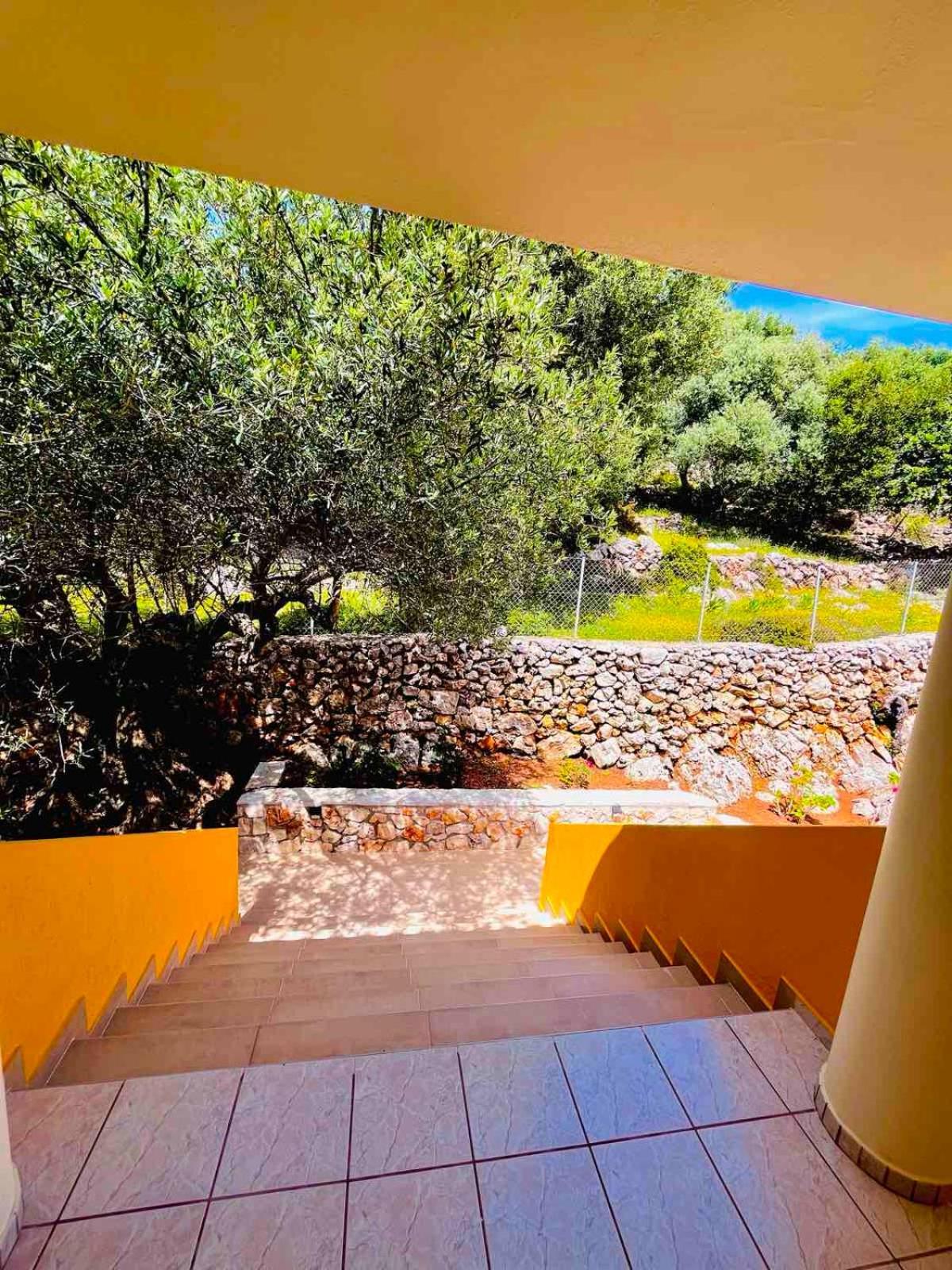 Asteras Studios Argostoli  Luaran gambar