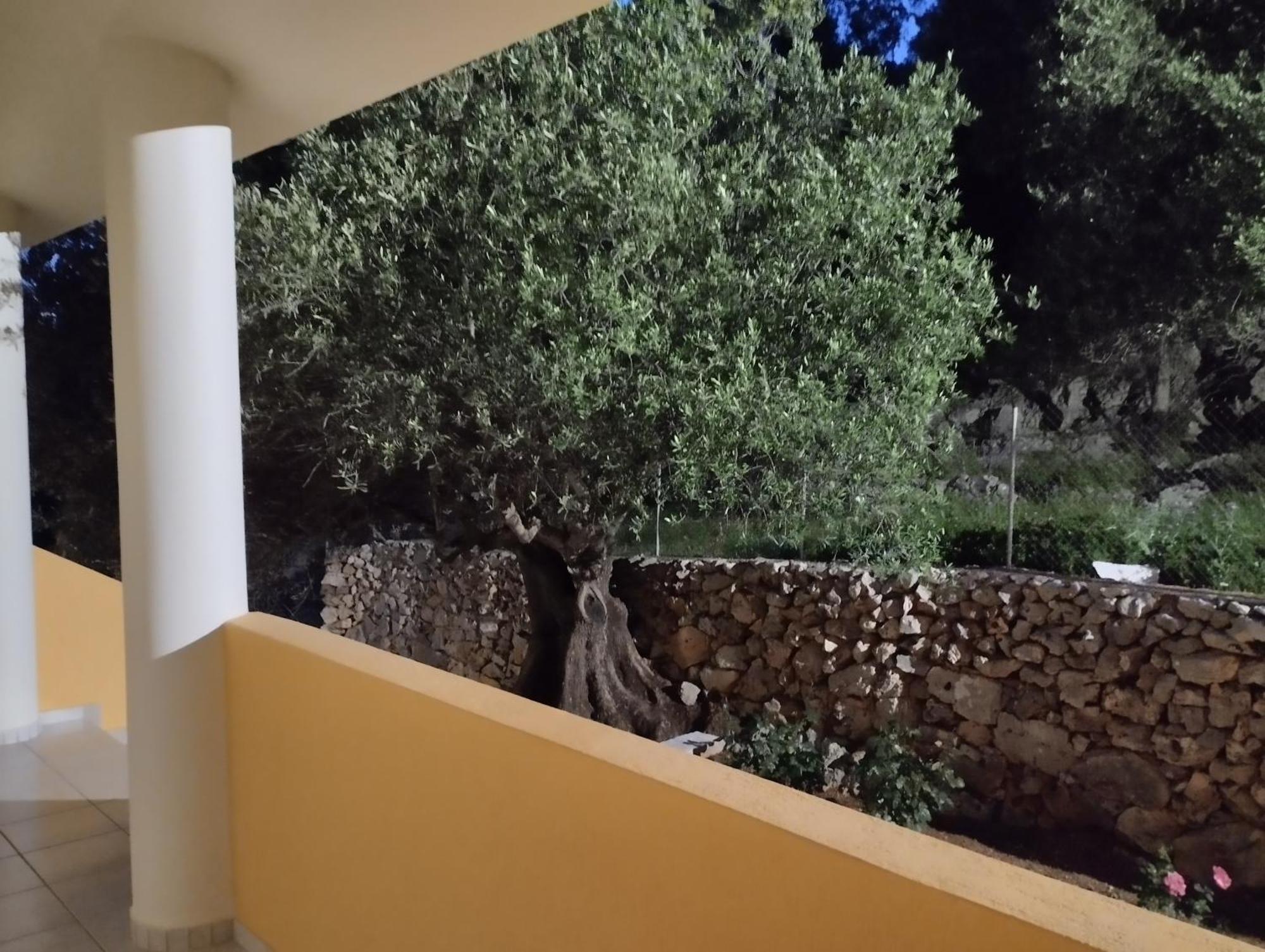 Asteras Studios Argostoli  Luaran gambar